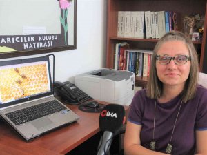 Türkiye’de İlk Kez Arıların Davranışı Araştırıldı