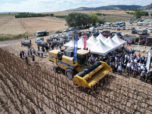 Kahramankazan Ovası’nı Sarıya Boyayan Ayçiçeğinde Hasat Başladı
