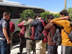 Van’da 16 Düzensiz Göçmen Yakalandı