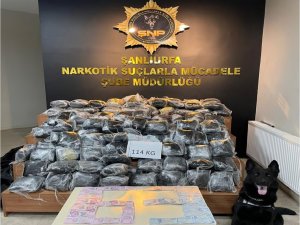 Şanlıurfa’da Uyuşturucu Operasyonu: 8 Tutuklama