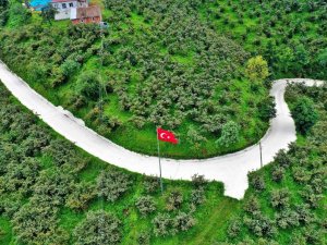 Altınordu’da Beton Yol Çalışmaları Sürüyor
