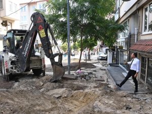 Hüseyin Pehlivan Caddesi Tepeden Tırnağa Yenileniyor