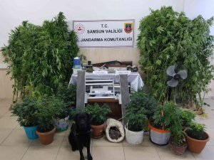 Samsun’da Uyuşturucu Operasyonu: Baba-oğul Tutuklandı