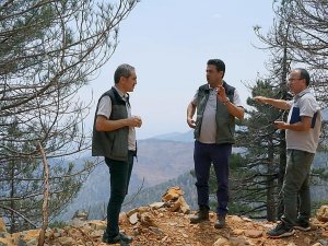 Köyceğiz’de Yanan Ormanlarda Yaralar Sarılıyor