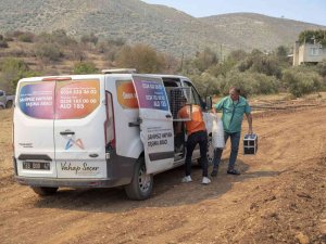 Yangın Bölgesindeki Hayvanlar İçin Mama Ve Su Bırakıldı