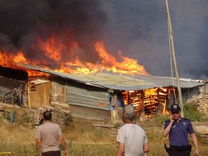 Tokat’ta Korkutan Yangın