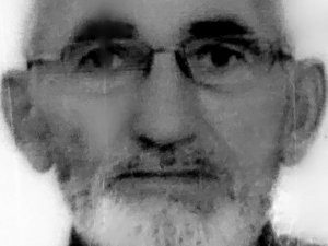 İ̇ncir Ağacından Düşen Yaşlı Adam Hayatını Kaybetti