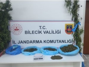 Bilecik’te Uyuşturucu Operasyonunda 2 Gözaltı