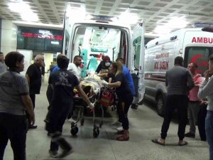 Balık Sevgisi Canından Etti