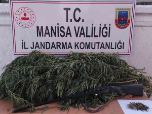 Manisa’da Uyuşturucu Operasyonları: 1 Kişi Tutuklandı