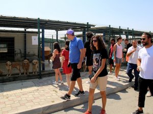 Sokak Hayvanları Bakımevi’nden Geri Dönüşüme Katkı