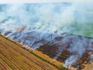 Adana’da Anız Yangınları Kenti Dumana Boğuyor