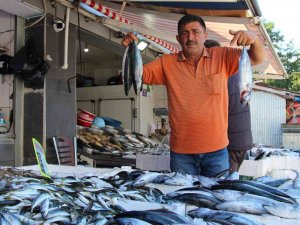 Palamut Yüz Güldürüyor