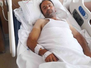Erik Toplamak İçin Çıktığı Ağaçtan Düşen Vatandaş Hastanelik Oldu