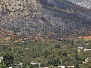 Mersin’deki Orman Yangını, Küle Dönen Bölge Havadan Görüntülendi