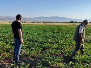 Elazığ’da Kaçak Avcılığın Önlenmesi İçin Denetimler Sürüyor