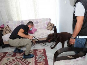 Mersin’deki Uyuşturucu Operasyonunda Gözaltı Sayısı 67’ye Çıktı