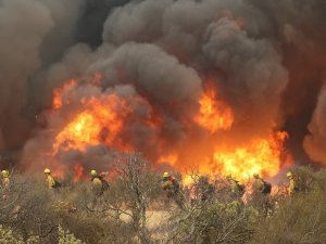 California’da Orman Yangınları Sürüyor