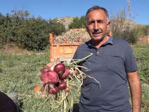 Bu Köyde Yaşayanların Yüzde 90’ının Gelir Kaynağı ’Soğan’