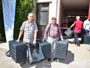 Salihli’deki Üreticilere 4 Bin 600 Adet Zeytin Kasası Dağıtıldı