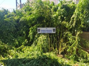 Hatay’da Uyuşturucu Operasyonları