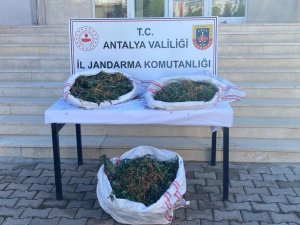 Sazlık Alana Gizlenen Çuvaldan Uyuşturucu Çıktı
