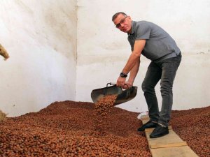 Üreticiler Tmo’ya Yöneldi