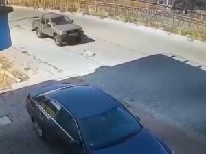 Resmi Plakalı Araçla Sokak Köpeğini Ezen İki Memur Görevden Uzaklaştırıldı