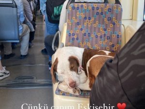 Kimse Keyfini Bozmadı