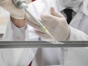 Atatürk Üniversitesinden Dmd Hastaları İçin Umut Verici Çalışma