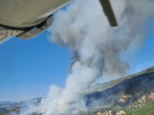 Denizli - Muğla İl Sınırında Orman Yangını