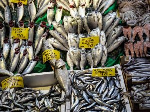 İ̇stanbul’da Tezgahlarda Balık Çeşitliliği Yaşanıyor