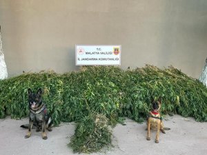 Malatya’da Dronlu Uyuşturucu Operasyonu