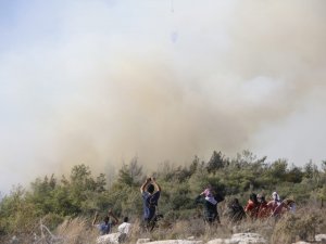 Mersin’deki Orman Yangını Kontrol Altına Alındı