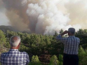 Muğla-denizli Sınırındaki Orman Yangını Devam Ediyor