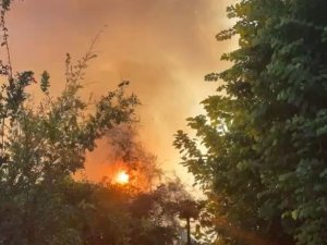 Antalya’da Plaja Yakın Bölgede Çıkan Yangın Korkuttu