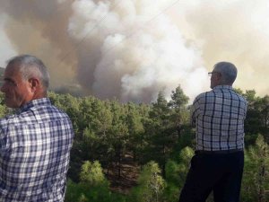 Denizli Sınırlarında İlerleyen Yangın Kısmen Kontrol Altına Alındı