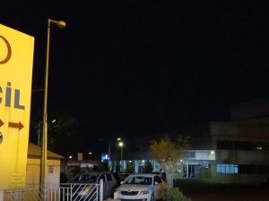 Bingöl’de Yine Ayı Saldırısı: Yaralanan Çoban Hastaneye Kaldırıldı