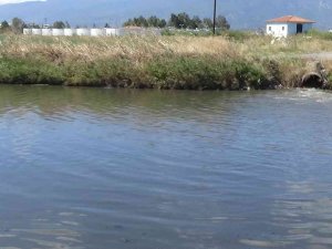 Edremit Çayı’ndan Kötü Kokular Geliyor