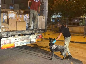 Kargo Tırında 56 Kilo 200 Gram Esrar Ele Geçirildi