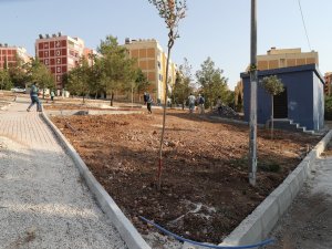Eyyübiye Kırsalında Park Ve Yol Çalışması