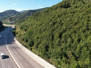 Zonguldak Ormanlarında Sonbaharda Tabloluk Görüntüler