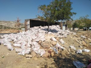 Tır Devrildi, Kömür Çuvalları Etrafa Saçıldı