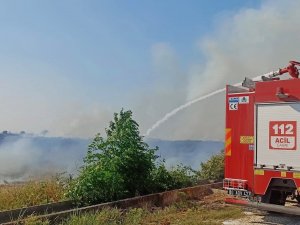 Sumbas’ta Çıkan Anız Yangını Söndürüldü