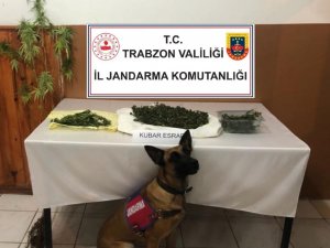 Sobaya Saklanan Uyuşturucuyu ‘Yatkın’ Buldu