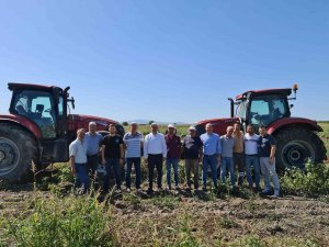 Bandırma’da Domates Üreticisi Memnun