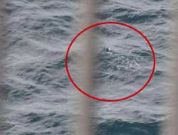 Maraton'da intihar şoku (VİDEO)