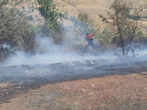 Bahçesaray’da Mera Alanında Yangın