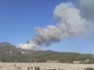 Söndürülen Yangın Zirveden Patlak Verdi