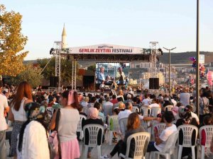 Gemlik Zeytini Festivali Coşkuyla Devam Ediyor